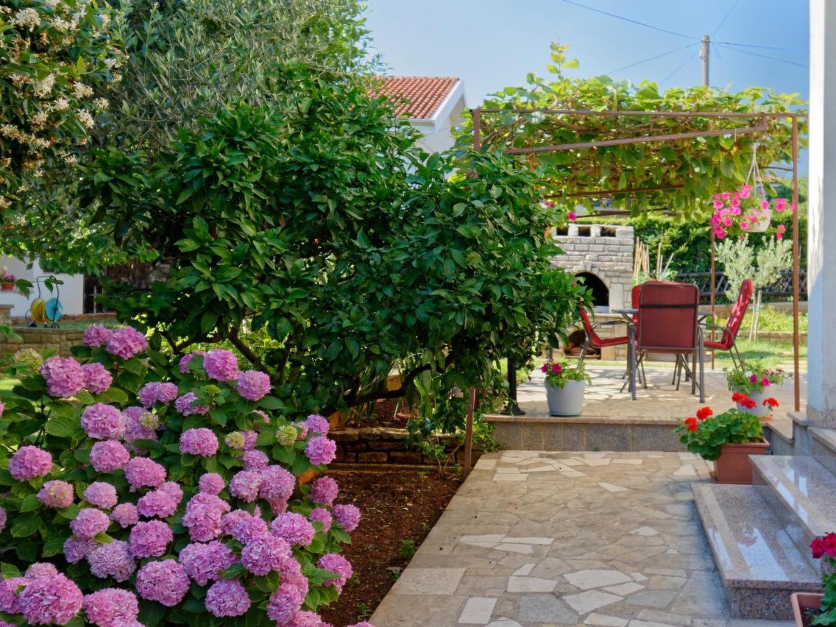 Apartments Marta By Rent Istria Novigrad Istria Eksteriør billede